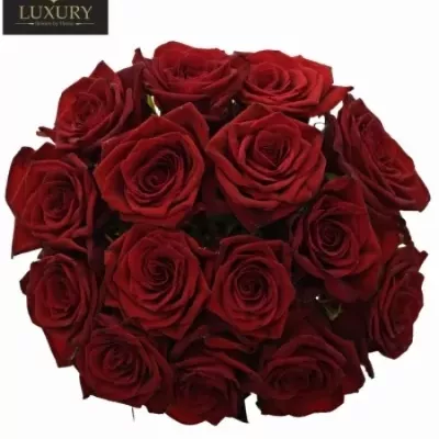Kytice 15 luxusních růží TESTAROSSA 60cm