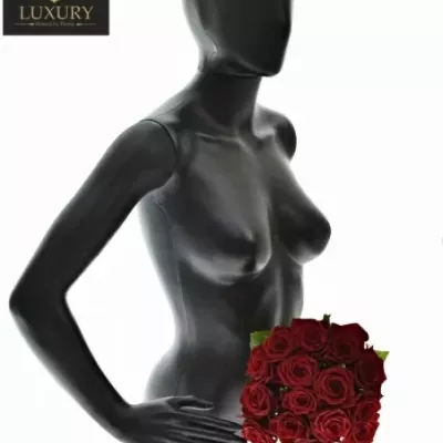 Kytice 15 luxusních růží TESTAROSSA