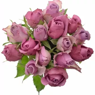 Míchaná kytice 15 vícebarevných růží ABEER 70 cm