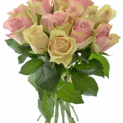 Kytice 15 míchaná AHAB 40cm