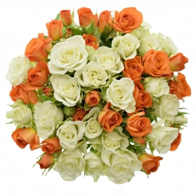 Míchaná kytice 15 ks BABE FLAKE 45 cm