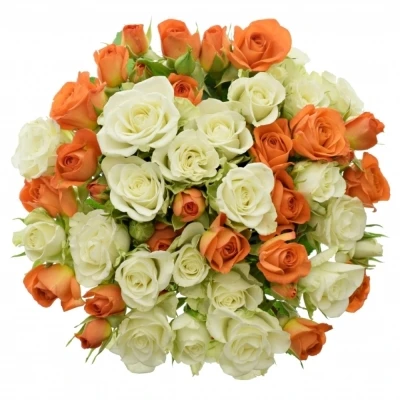 Kytice 15 míchaná BABE FLAKE 50cm ø15cm