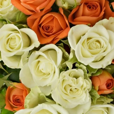 Kytice 15 míchaná BABE FLAKE 50cm ø15cm