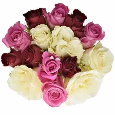 Míchaná kytice 15 vícebarevných růží BELLESIANA 50 cm