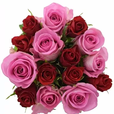 Kytice 15 vícebarevných růží DELIANNE 40 cm