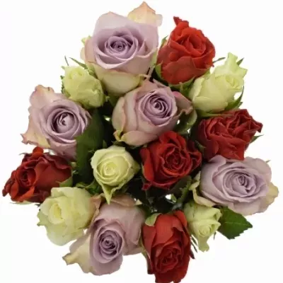 Míchaná kytice 15 vícebarevných růží DESIREE 50 cm
