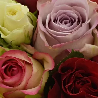 Kytice 15 míchaná DEVINIE 40cm