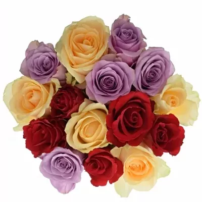 Míchaná kytice 15 vícebarevných růží DEVORAH 40 cm