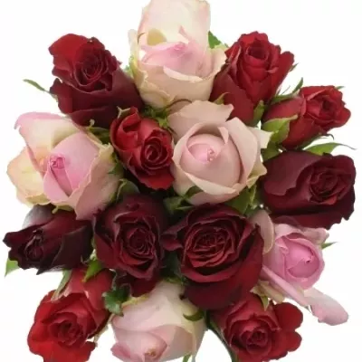 Kytice 15 míchaných růží DEVRIA 50cm