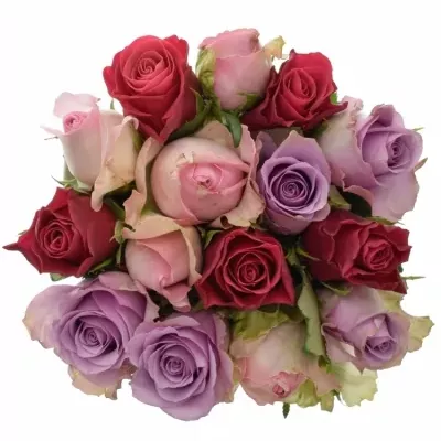 Kytice 15 vícebarevných růží DIANNE 40 cm