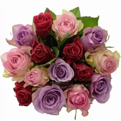 Kytice 15 vícebarevných růží DINORAH 40 cm