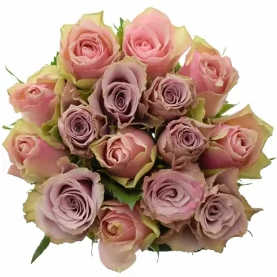 Míchaná kytice 15 vícebarevných růží IKIA 40 cm