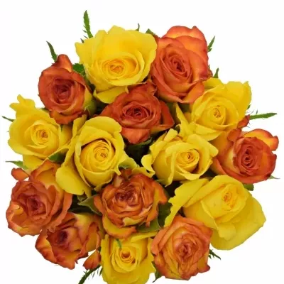 Míchaná kytice 15 vícebarevných růží JANNY 60 cm