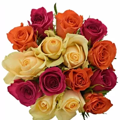 Kytice 15 míchaných růží KIMI CANDRA 50cm