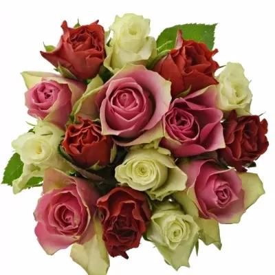 Míchaná kytice 15 vícebarevných růží MAHA 60 cm