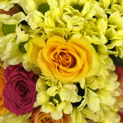 Kytice 15 míchaná NARCISSA 40cm