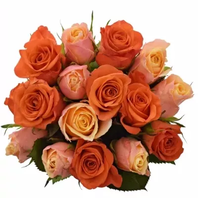 Míchaná kytice 15 vícebarevných růží ORANGE CANDRA 50 cm