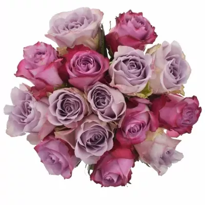 Míchaná kytice 15 vícebarevných růží PENELOPA 70 cm