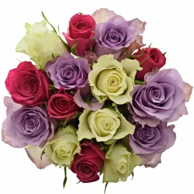 Kytice 15 vícebarevných růží RONI 50 cm