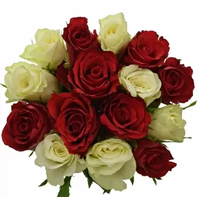 Kytice 15 míchaných růží AGATHA 40cm