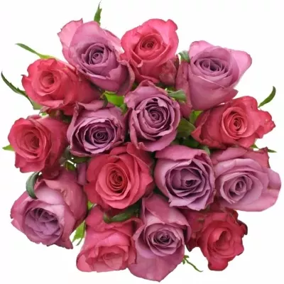 Míchaná kytice 15 vícebarevných růží BENAYA 50 cm