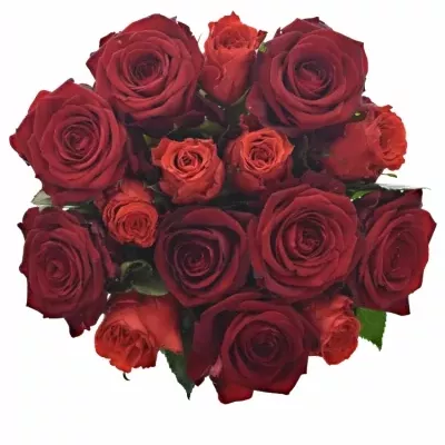 Míchaná kytice 15 vícebarevných růží BERENIKE 40 cm