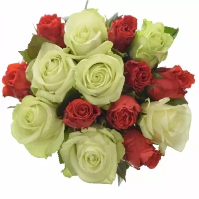 Míchaná kytice 15 vícebarevných růží BRITTANY 50 cm