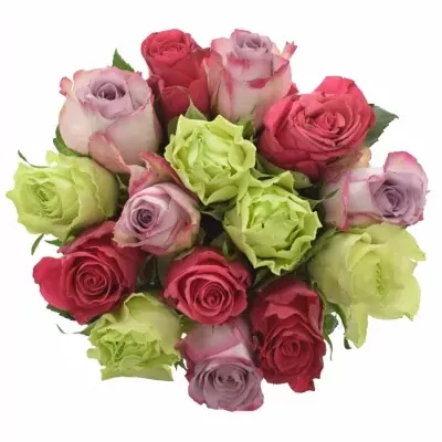 Kytice 15 míchaných růží FRANCESCA 50cm