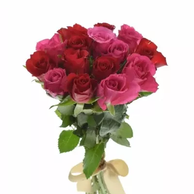 Kytice 15 míchaných růží GRACIANA 35cm