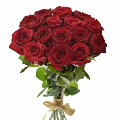 Kytice 15 míchaných růží JOANNA 55cm