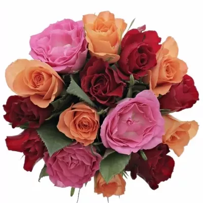 Míchaná kytice 15 vícebarevných růží KATRIEL 50 cm