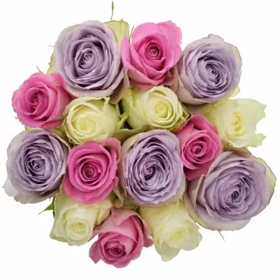 Míchaná kytice 15 vícebarevných růží LIGHT LORRIESS 50 cm