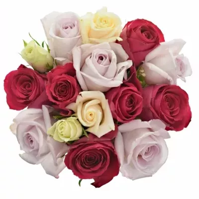 Míchaná kytice 15 vícebarevných růží LORRIESS 50 cm