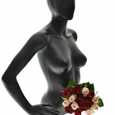 Kytica 15 miešaných ruží MADAM BISO 50cm