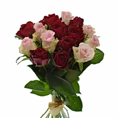 Kytice 15 míchaných růží MADAM BISOU 50cm
