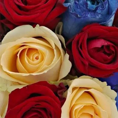 Kytice 15 míchaných růží MARRINETA 50cm