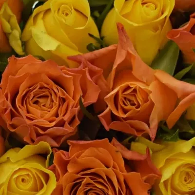 Kytice 15 míchaných růží MARYWALK 50cm