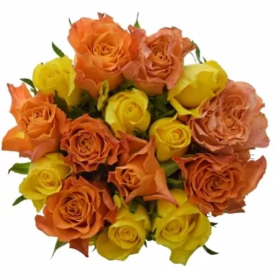 Míchaná kytice 15 vícebarevných růží MARYWALK 60 cm
