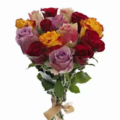 Kytice 15 míchaných růží MIRIAM 50cm