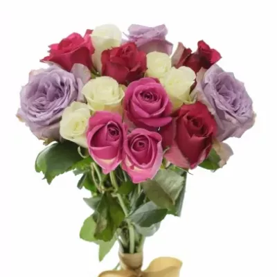 Kytica 15 miešaných ruží PURPLE NAOMI