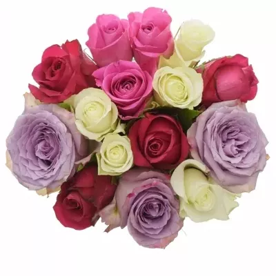 Kytice 15 míchaných růží PURPLE NAOMI 50cm