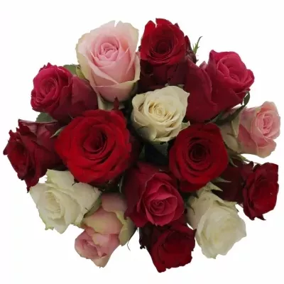 Kytice 15 míchaných růží RADWAN 60cm