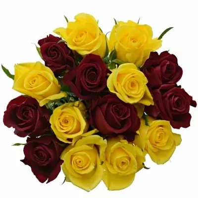 Míchaná kytice 15 vícebarevných růží RED DELTA 55 cm