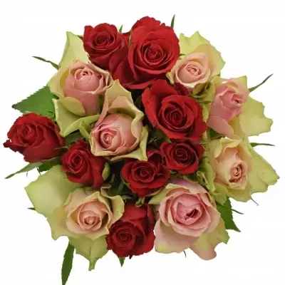 Kytice 15 míchaných růží ROSEBELLINE 50cm