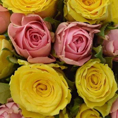 Kytice 15 míchaných růží SHANLEY 50cm