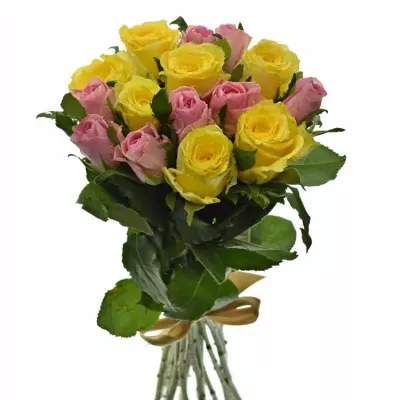 Kytice 15 míchaných růží SHANLEY 50cm