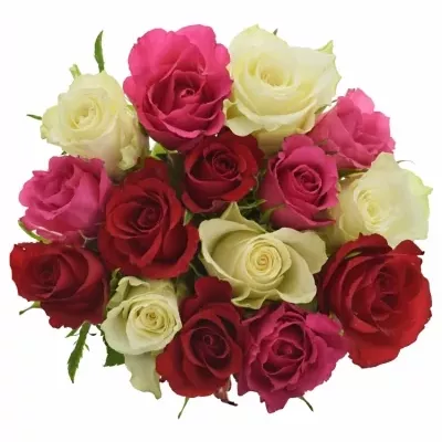 Kytice 15 míchaných růží WHITE GRACIANA 35cm