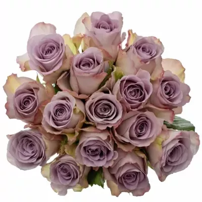 Kytica 15 modrofialových ruží MEMORY LANE 40cm
