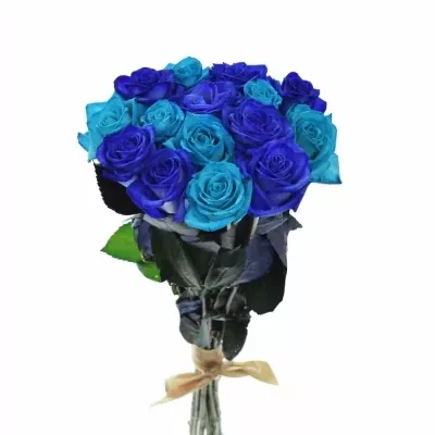Kytice 15 modrých růží BLUE ADRIANA