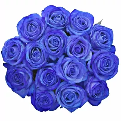 Jednodruhová kytice 15 modrých růží BLUE VENDELA 70 cm